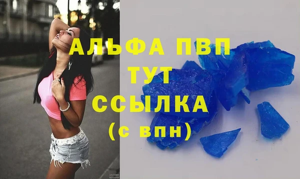 метадон Богданович
