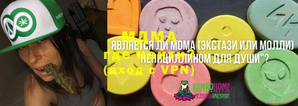 дмт Бородино