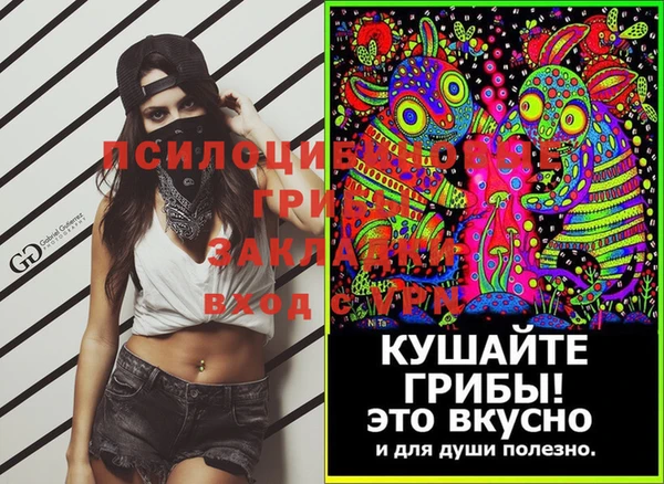 метадон Богданович