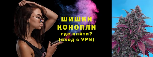метадон Богданович