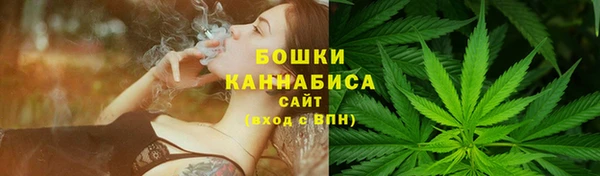 молекула духа Богородск
