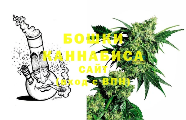 молекула духа Белокуриха