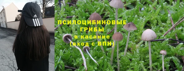 ешки Богородицк