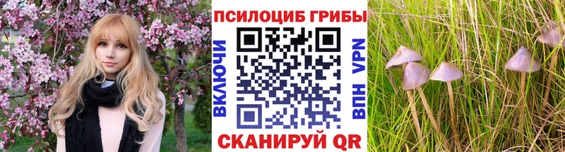 Псилоцибиновые грибы Magic Shrooms  закладки  Мглин 